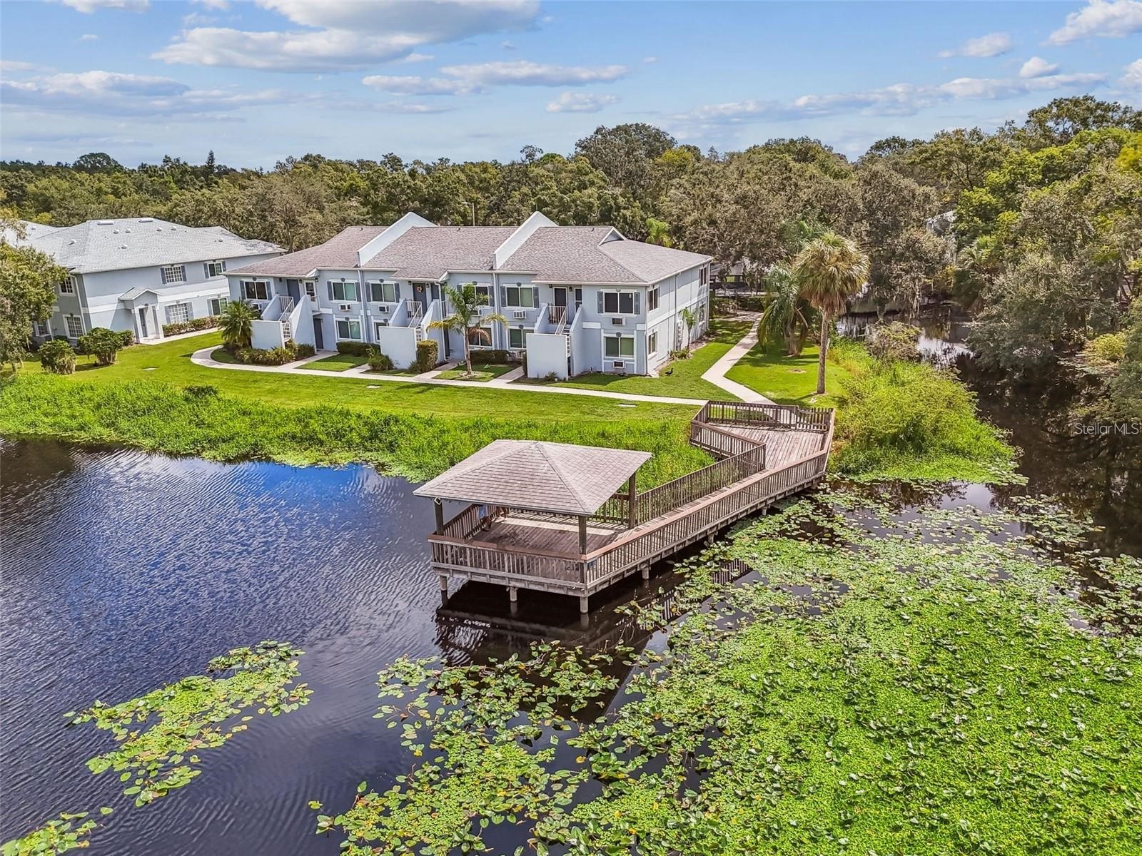 4131 Dolphin Drive #4131 Tampa FL 33617 - HILLSBOROUGH RIVER TB8462371 image29