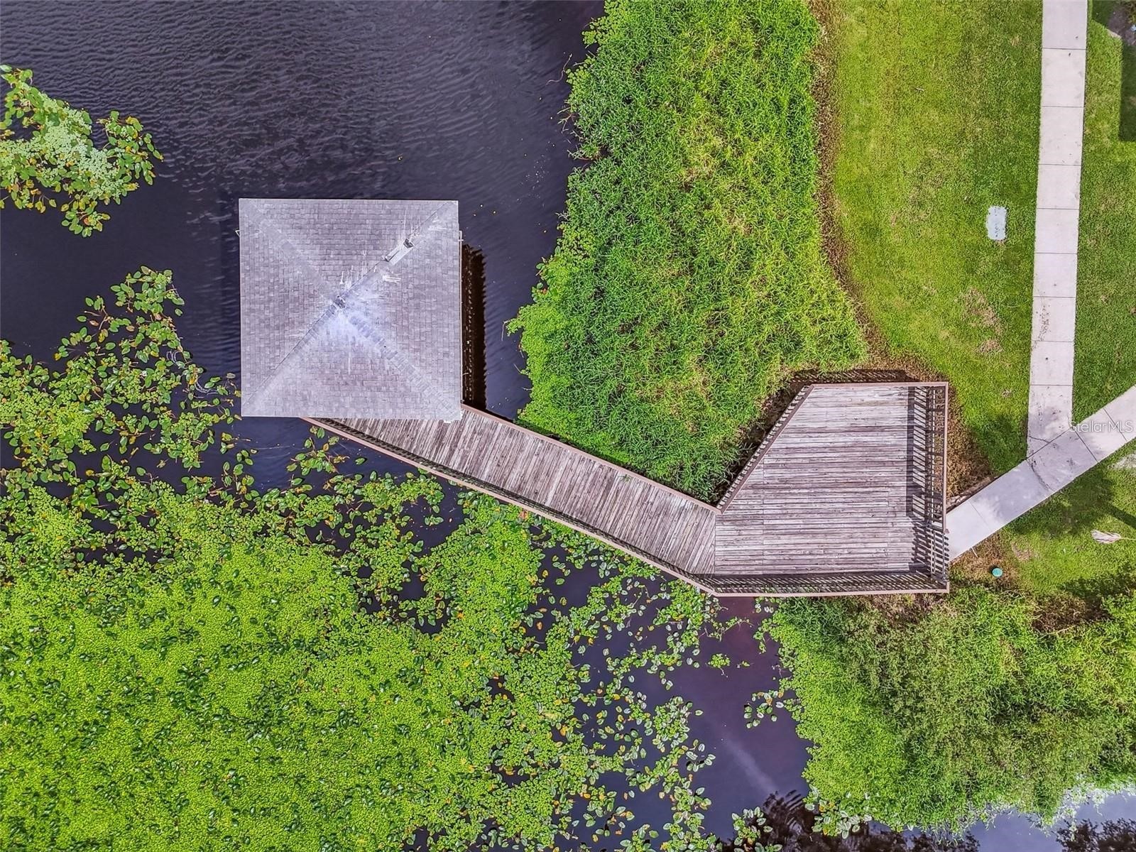 4131 Dolphin Drive #4131 Tampa FL 33617 - HILLSBOROUGH RIVER TB8462371 image30