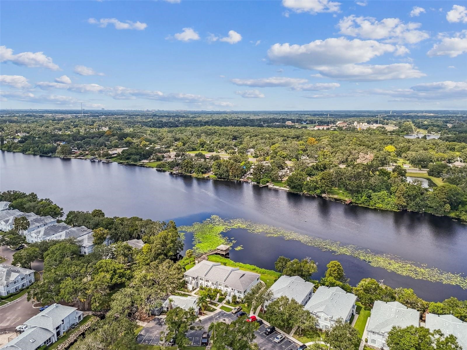 4131 Dolphin Drive #4131 Tampa FL 33617 - HILLSBOROUGH RIVER TB8462371 image31
