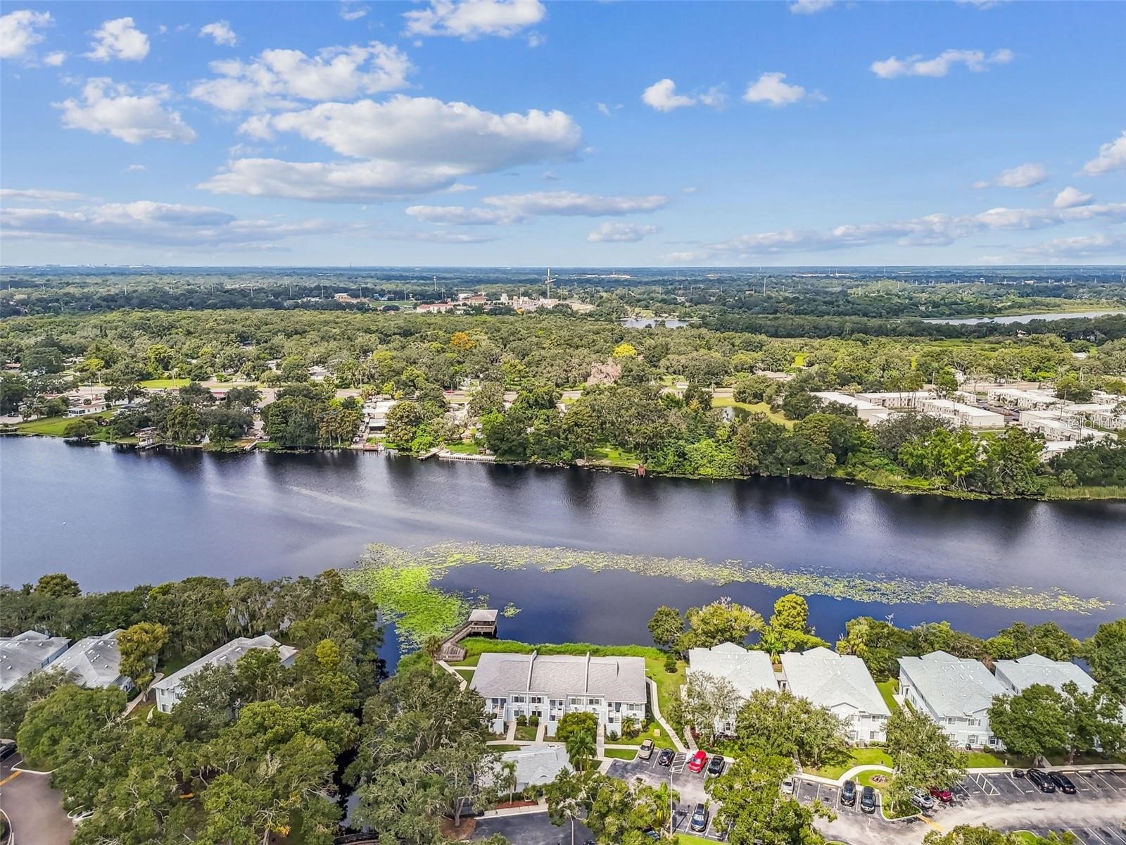 4131 Dolphin Drive #4131 Tampa FL 33617 - HILLSBOROUGH RIVER TB8462371 image32