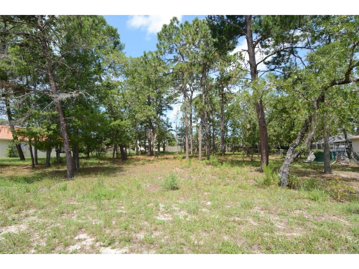 4132 Elwood Road Spring Hill FL 34609 T3459306 image1