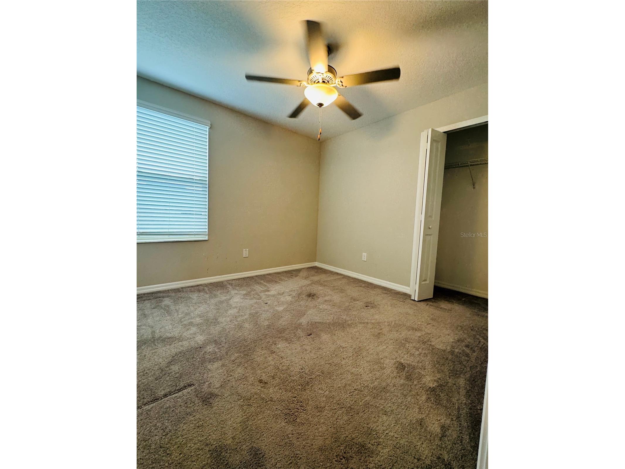 4132 Hanover Drive New Port Richey FL 34653 TB8513619 image12