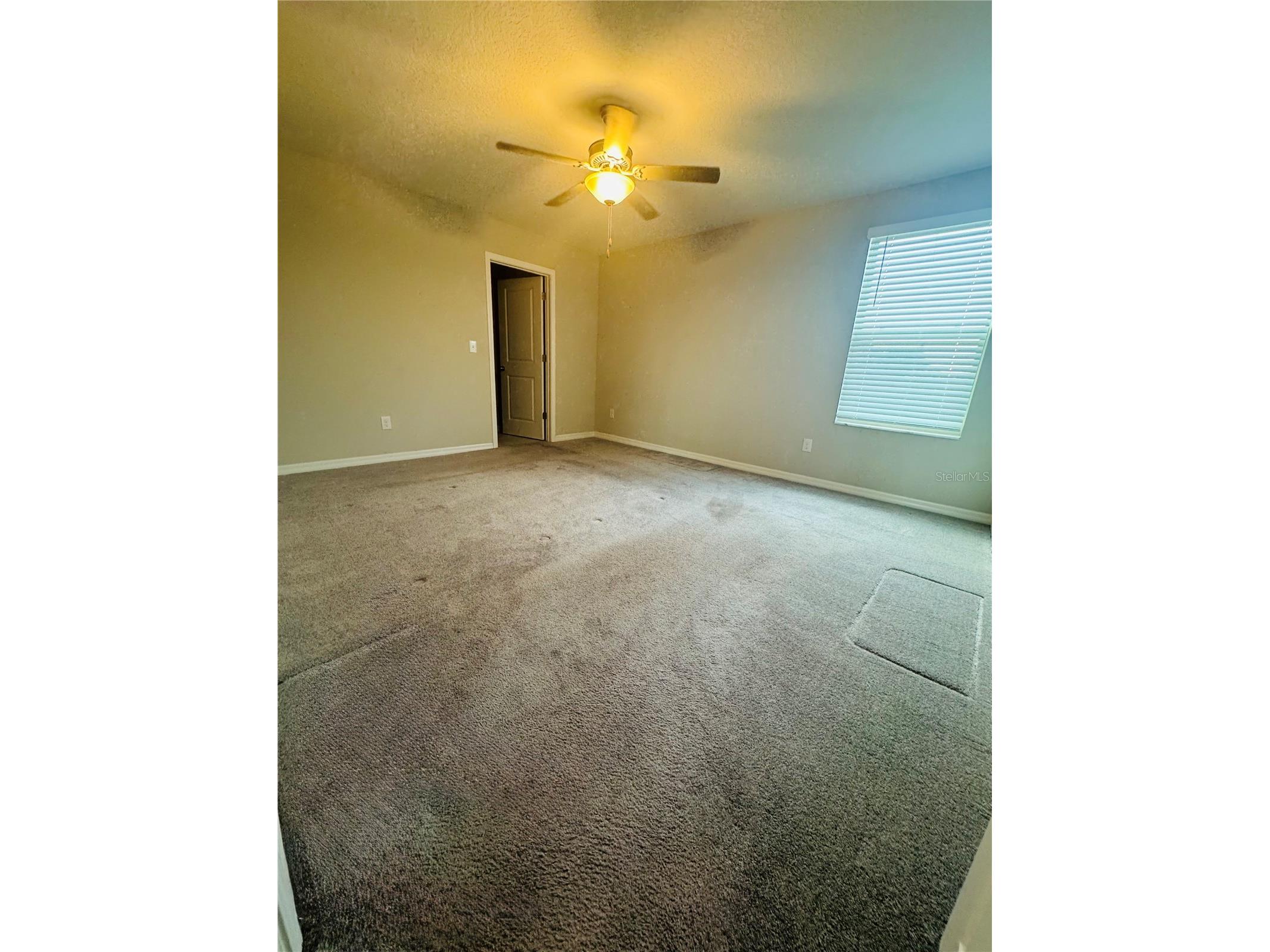4132 Hanover Drive New Port Richey FL 34653 TB8513619 image8
