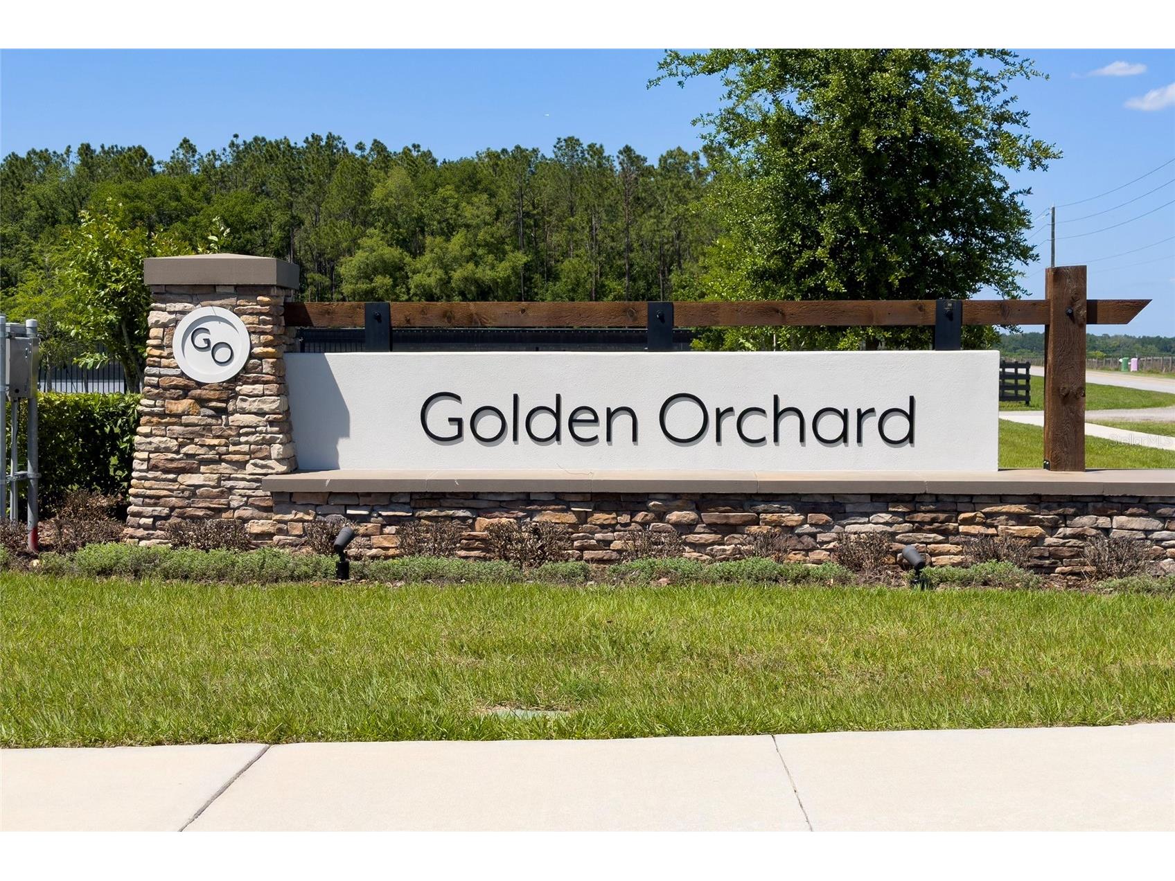 4132 Jespersen Street Apopka FL 32712 S5148139 image3