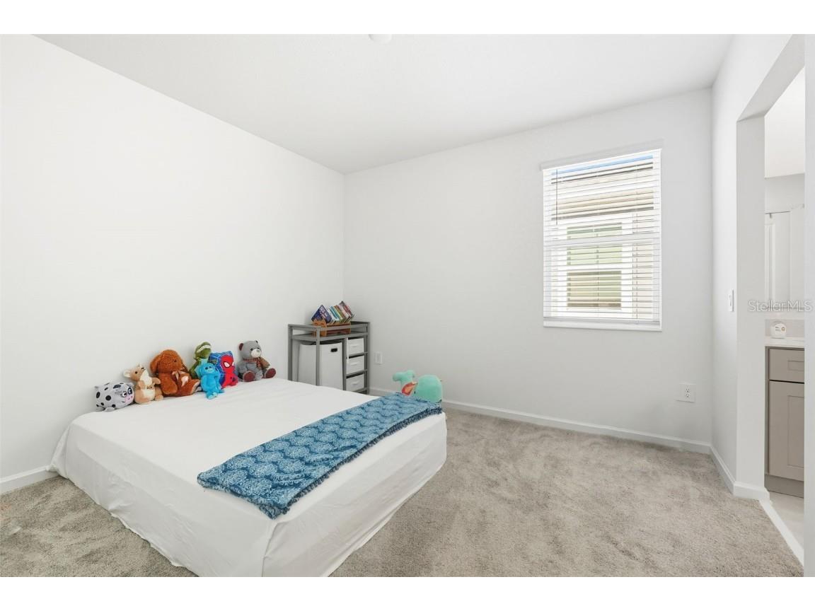 4132 Pino Street Apopka FL 32712 W7879023 image31