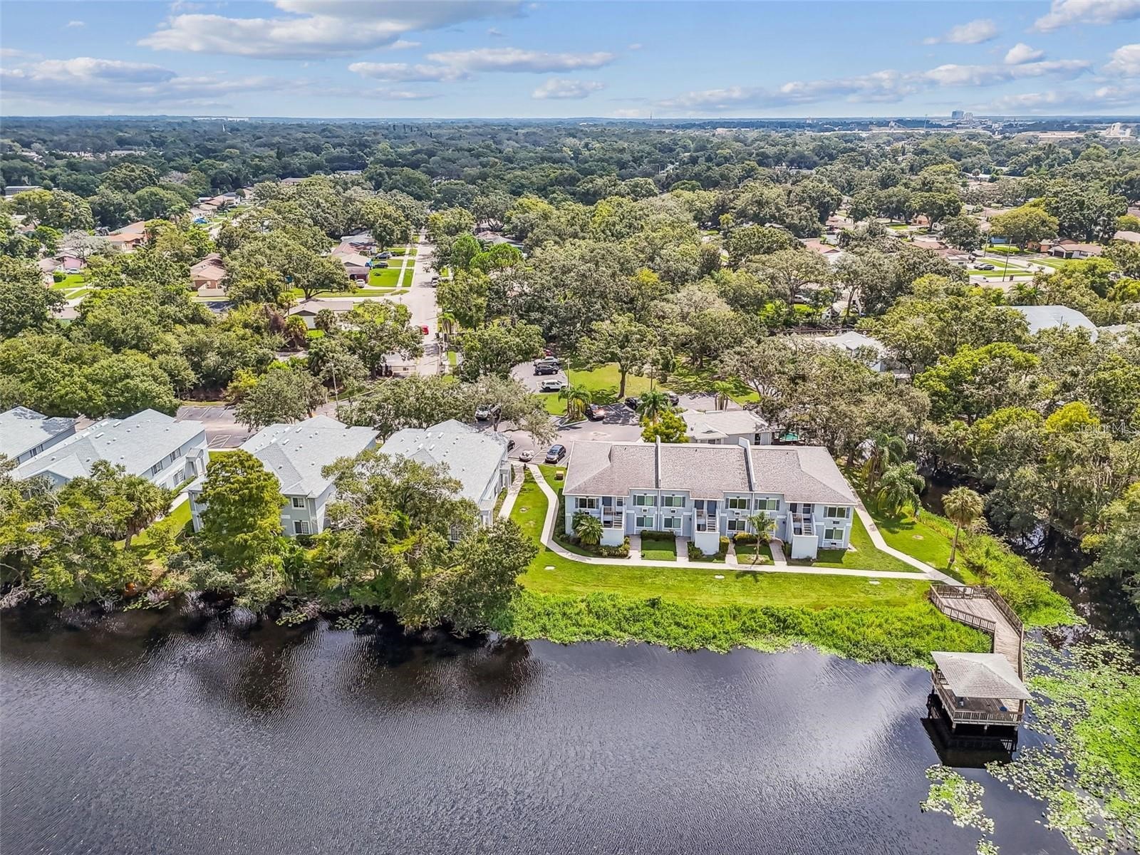 4133 Dolphin Drive #4133 Tampa FL 33617 - HILLSBOROUGH RIVER TB8462792 image11