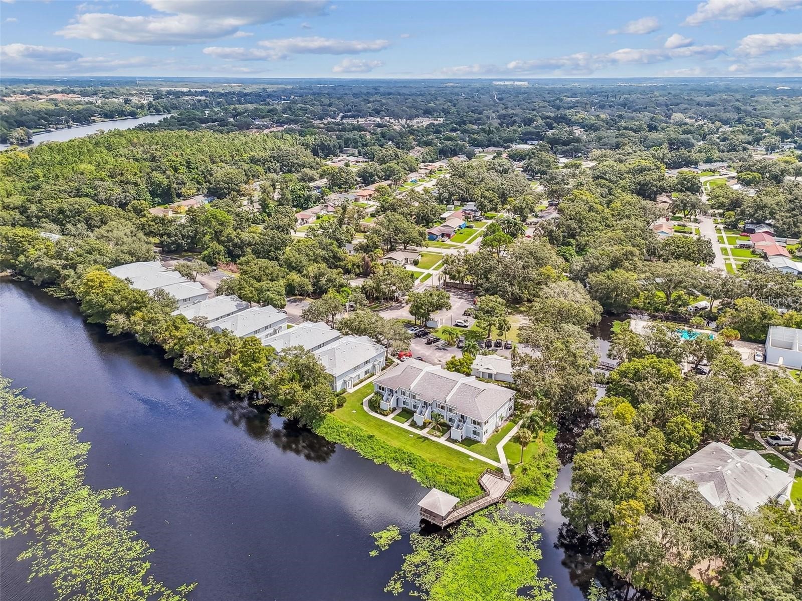 4133 Dolphin Drive #4133 Tampa FL 33617 - HILLSBOROUGH RIVER TB8462792 image12