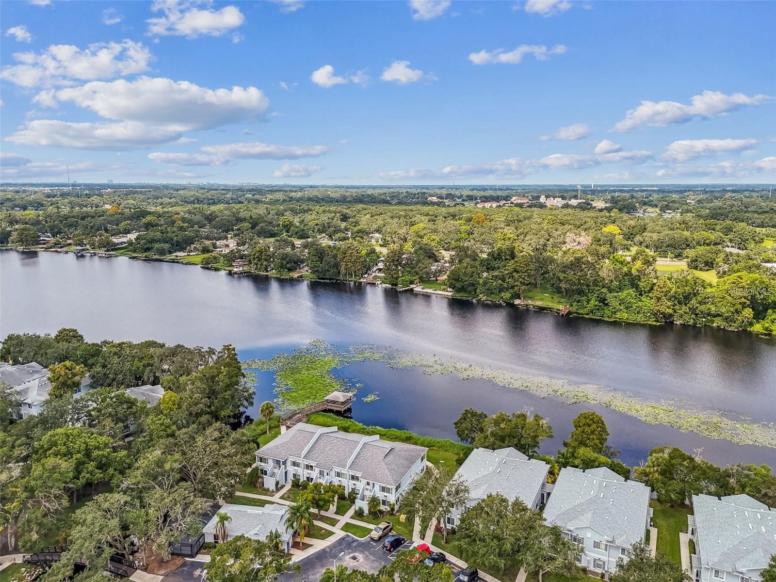 4133 Dolphin Drive #4133 Tampa FL 33617 - HILLSBOROUGH RIVER TB8462792 image16