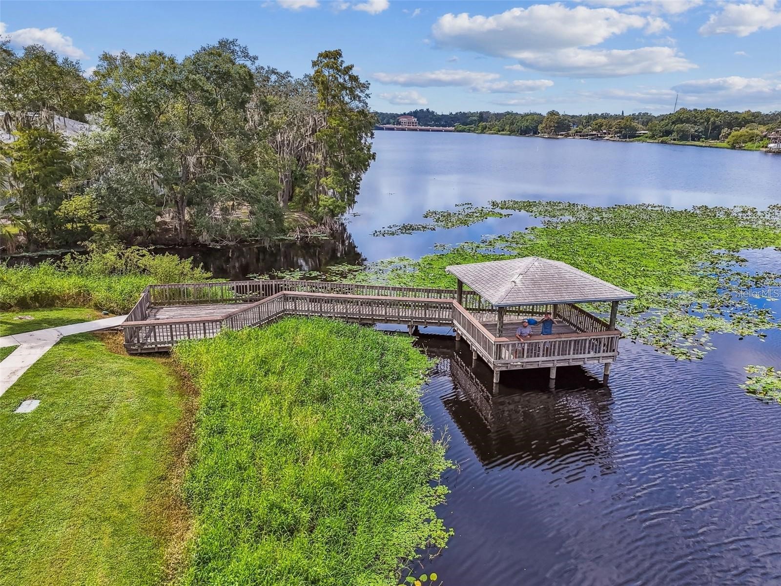 4133 Dolphin Drive #4133 Tampa FL 33617 - HILLSBOROUGH RIVER TB8462792 image22
