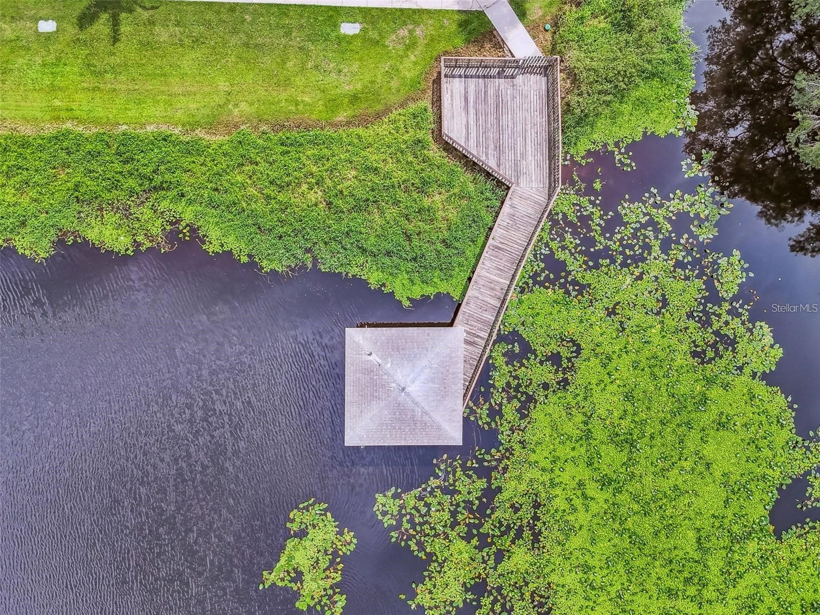 4133 Dolphin Drive #4133 Tampa FL 33617 - HILLSBOROUGH RIVER TB8462792 image23