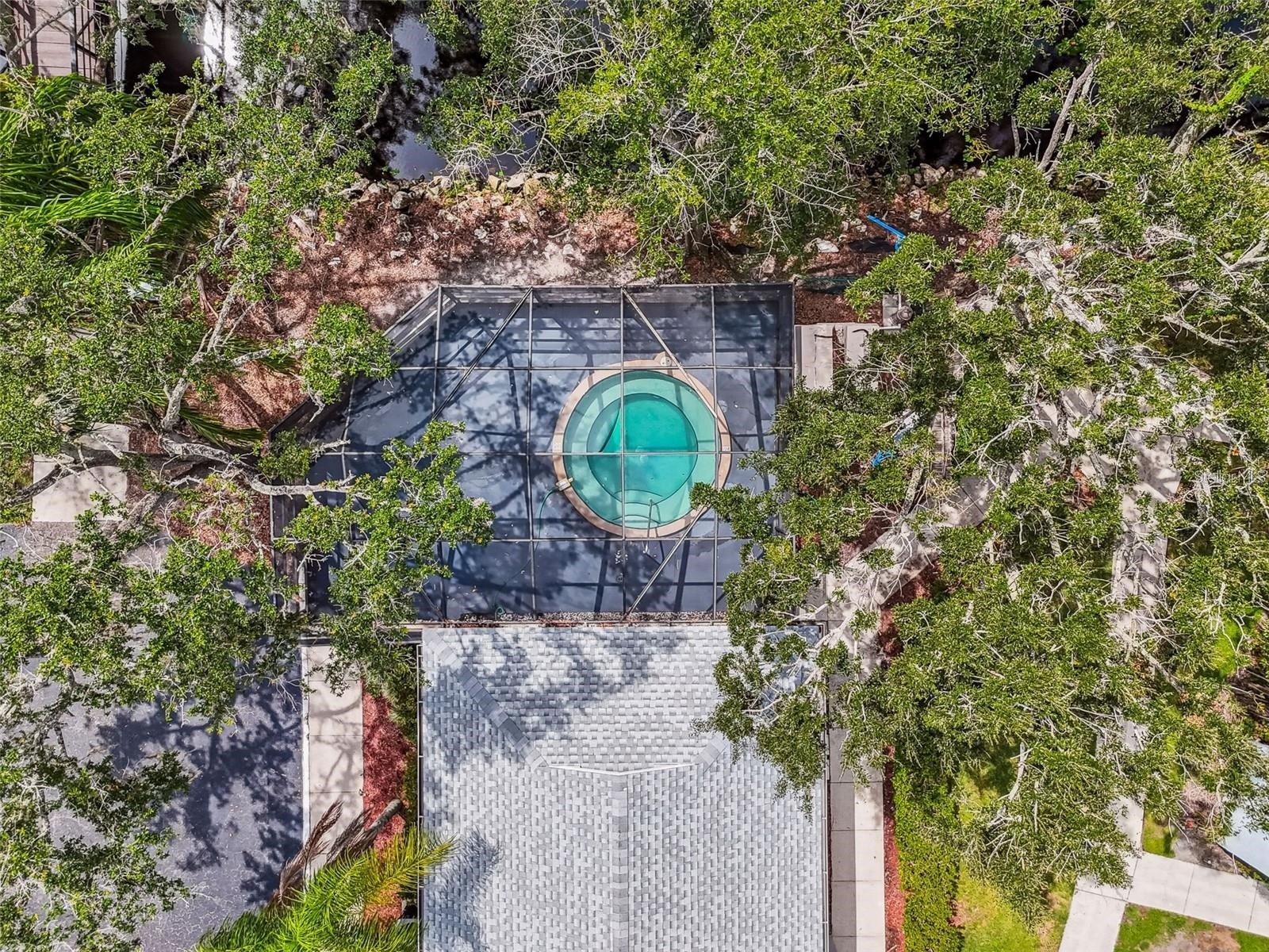 4133 Dolphin Drive #4133 Tampa FL 33617 - HILLSBOROUGH RIVER TB8462792 image25