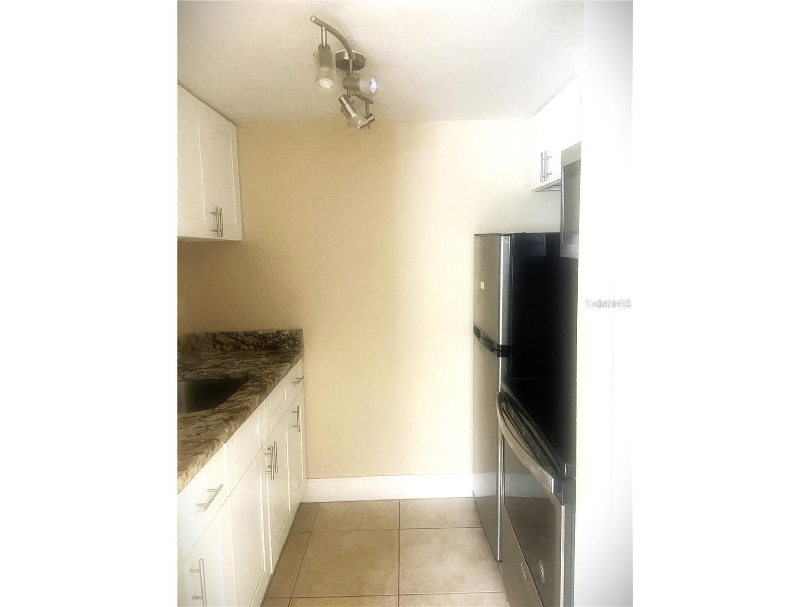 4133 Dolphin Drive #4133 Tampa FL 33617 - HILLSBOROUGH RIVER TB8462792 image4
