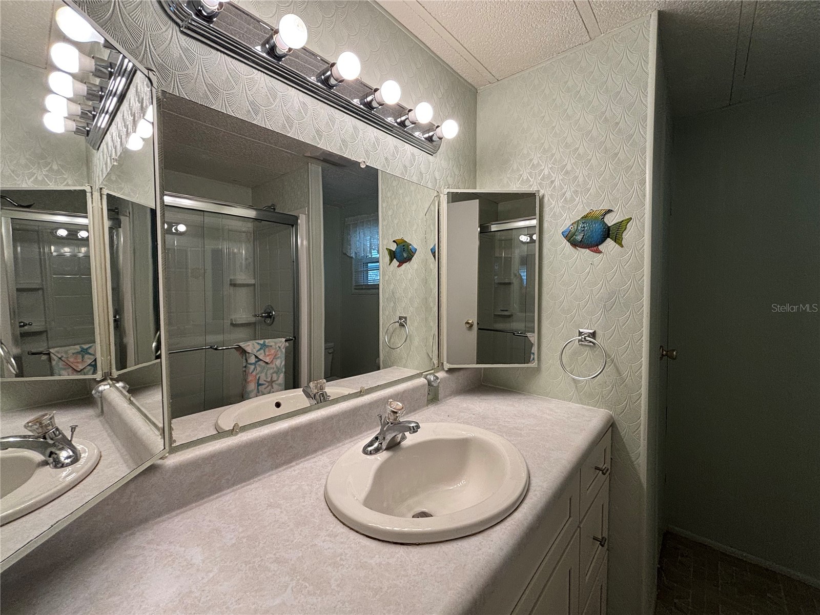 4133 Oak Grove Drive #16 Zellwood FL 32798 - LAKE COHEN AND LAKE GRASSMERE O6376021 image15