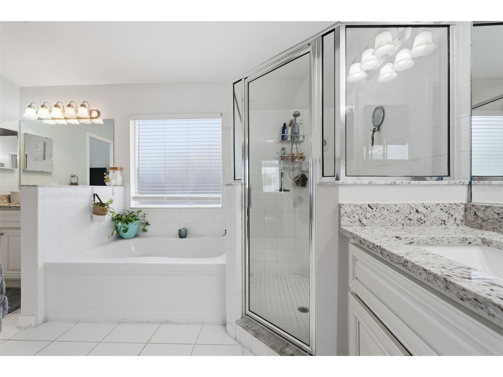4133 Savage Station Circle New Port Richey FL 34653 TB8501577 image35