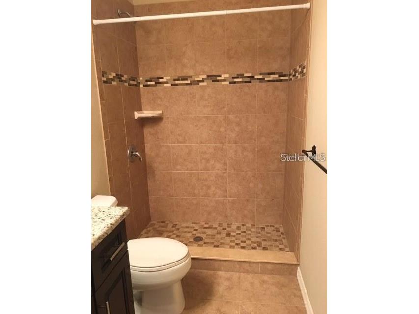 4134 Bismarck Palm Drive Tampa FL 33610 TB8504729 image21