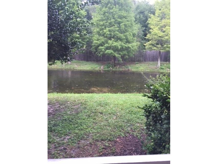 4134 Bismarck Palm Drive Tampa FL 33610 TB8504729 image3