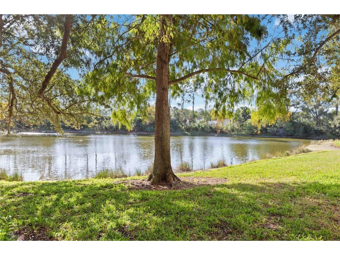 4134 Central Sarasota Parkway #1734 Sarasota FL 34238 A4675397 image24