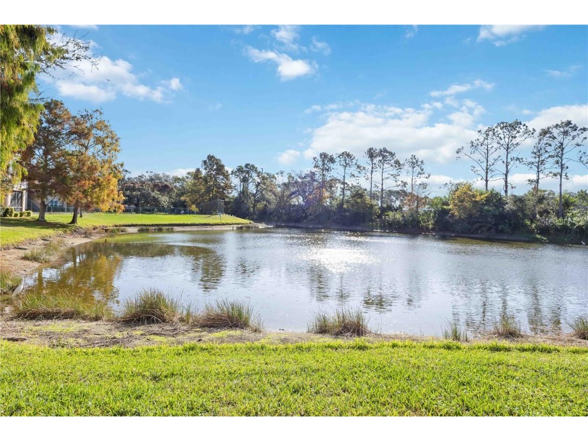 4134 Central Sarasota Parkway #1734 Sarasota FL 34238 A4675397 image25