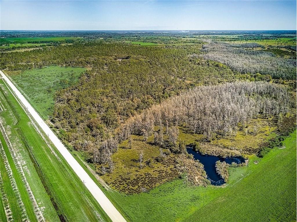 4134 Fish Branch Road Zolfo Springs FL 33890 A4495206 image1