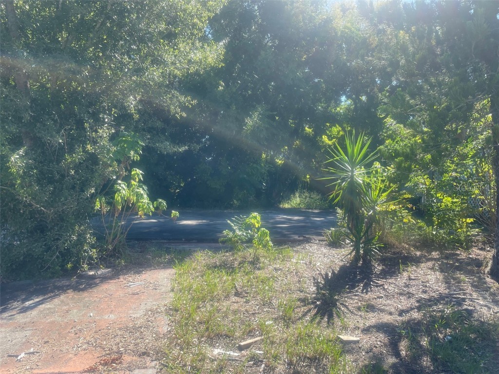 4134 Las Vegas Drive New Port Richey FL 34653 TB8431363 image1