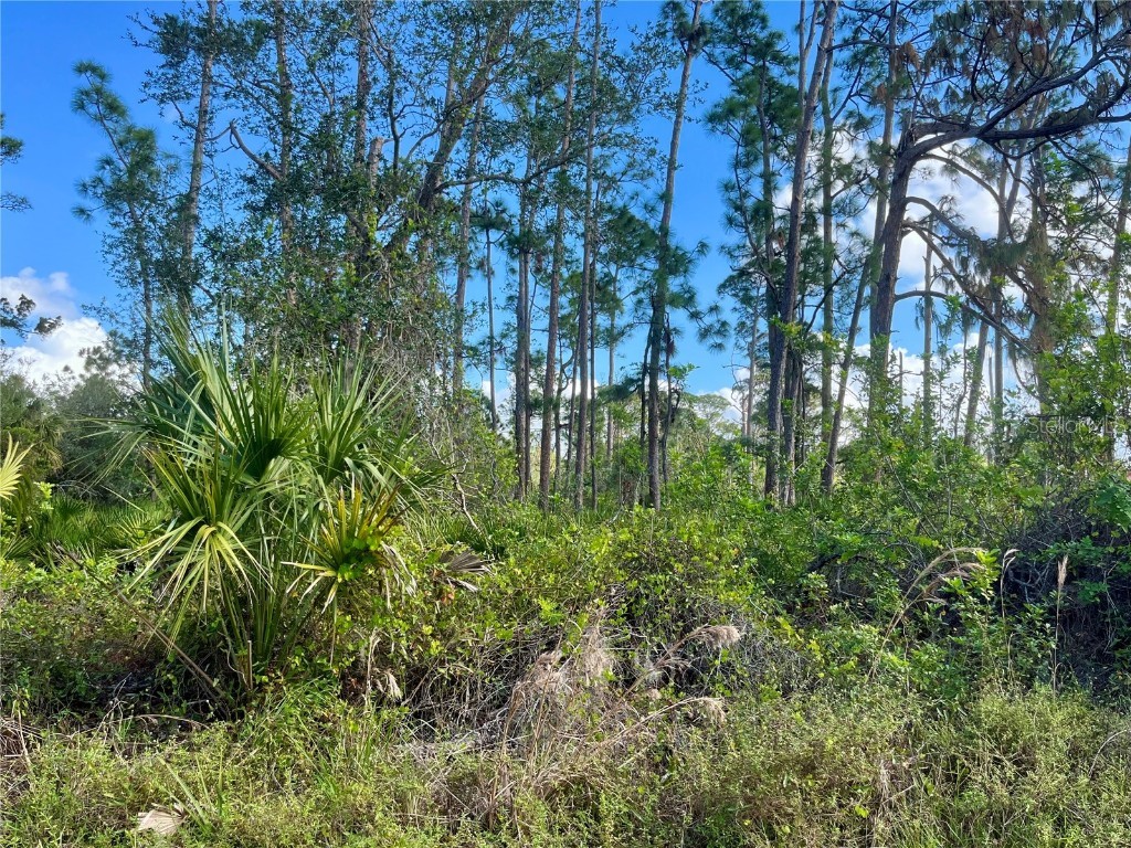 4134 Winona Street Port Charlotte FL 33948 C7502749 image3