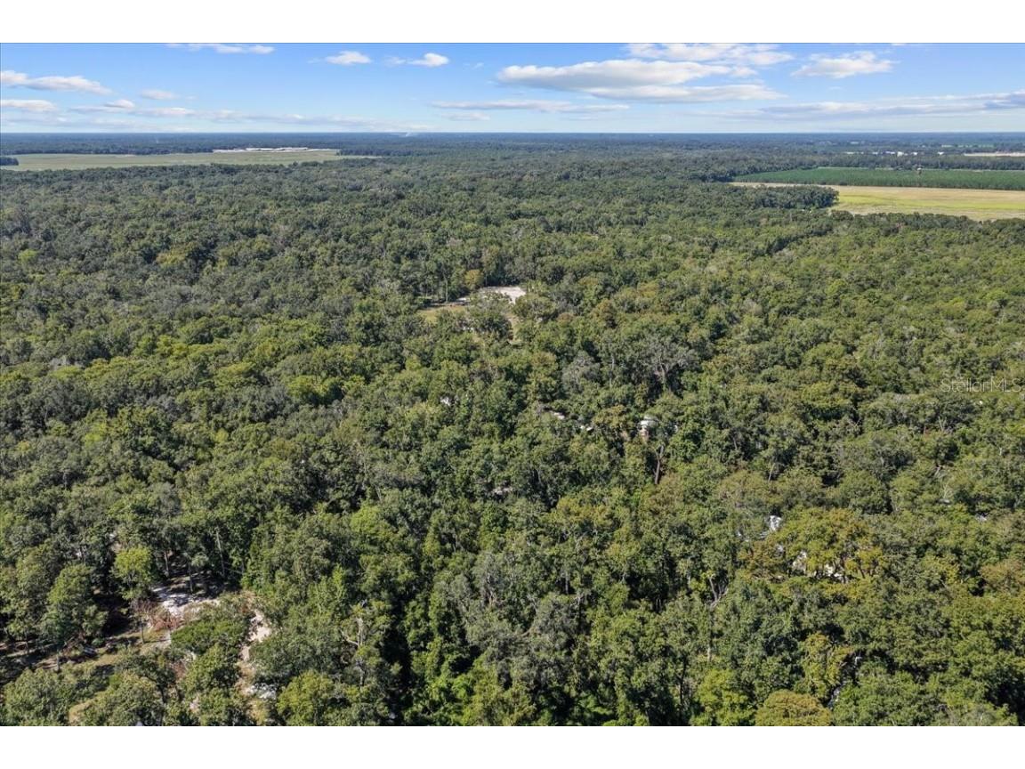 4135 290th Terrace Branford FL 32008 GC533740 image51