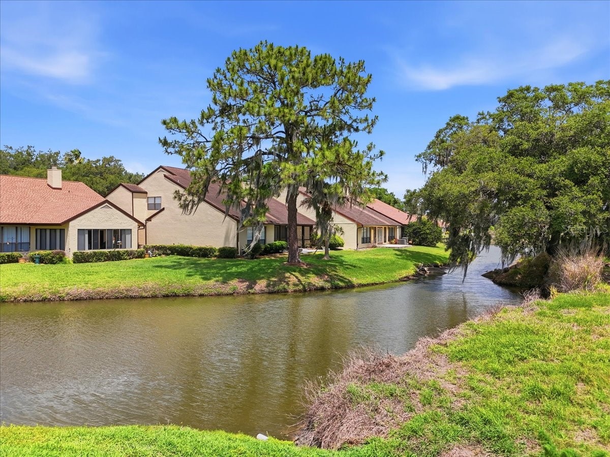 4135 Creekwood Lane Mulberry FL 33860 L4961422 image4