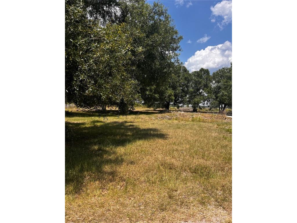 4135 Jean Drive N Zolfo Springs FL 33890 A4570571 image1