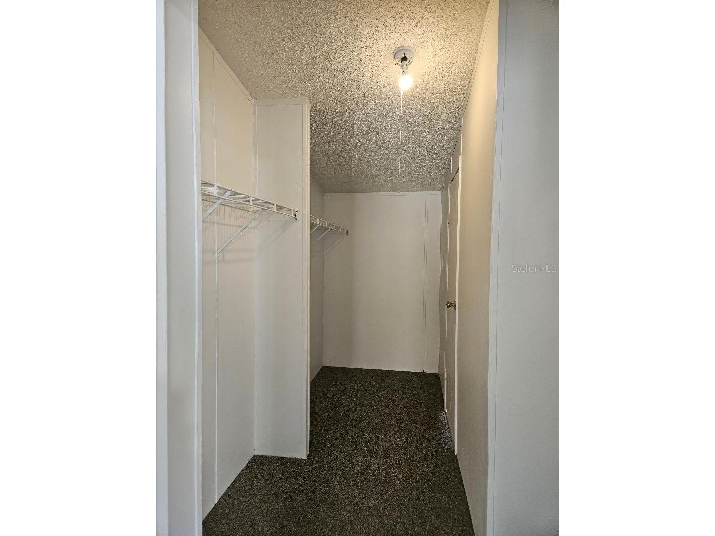 4136 Rolling Hills Court E Lake Wales FL 33898 P4938346 image16