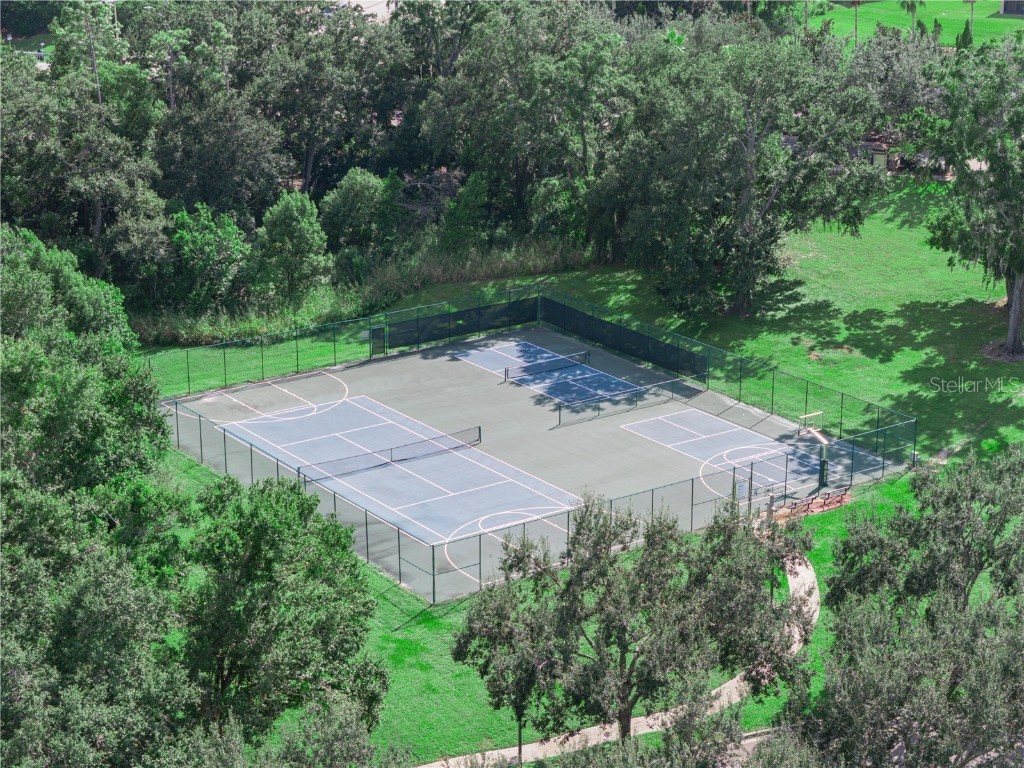 4136 Solamor Street Lakeland FL 33810 P4936312 image34