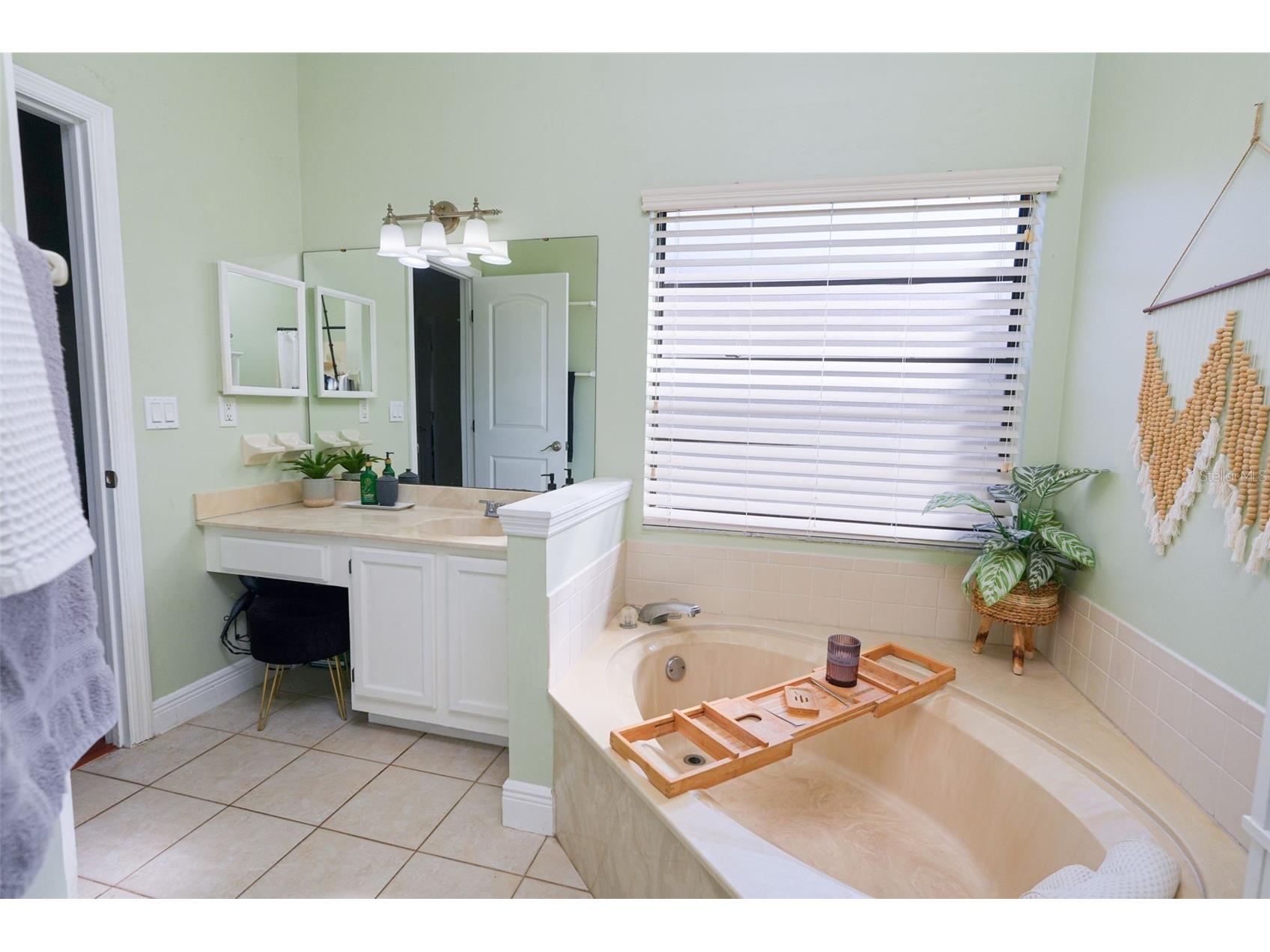 4136 Spring Way Cir Valrico FL 33596 A4685600 image30