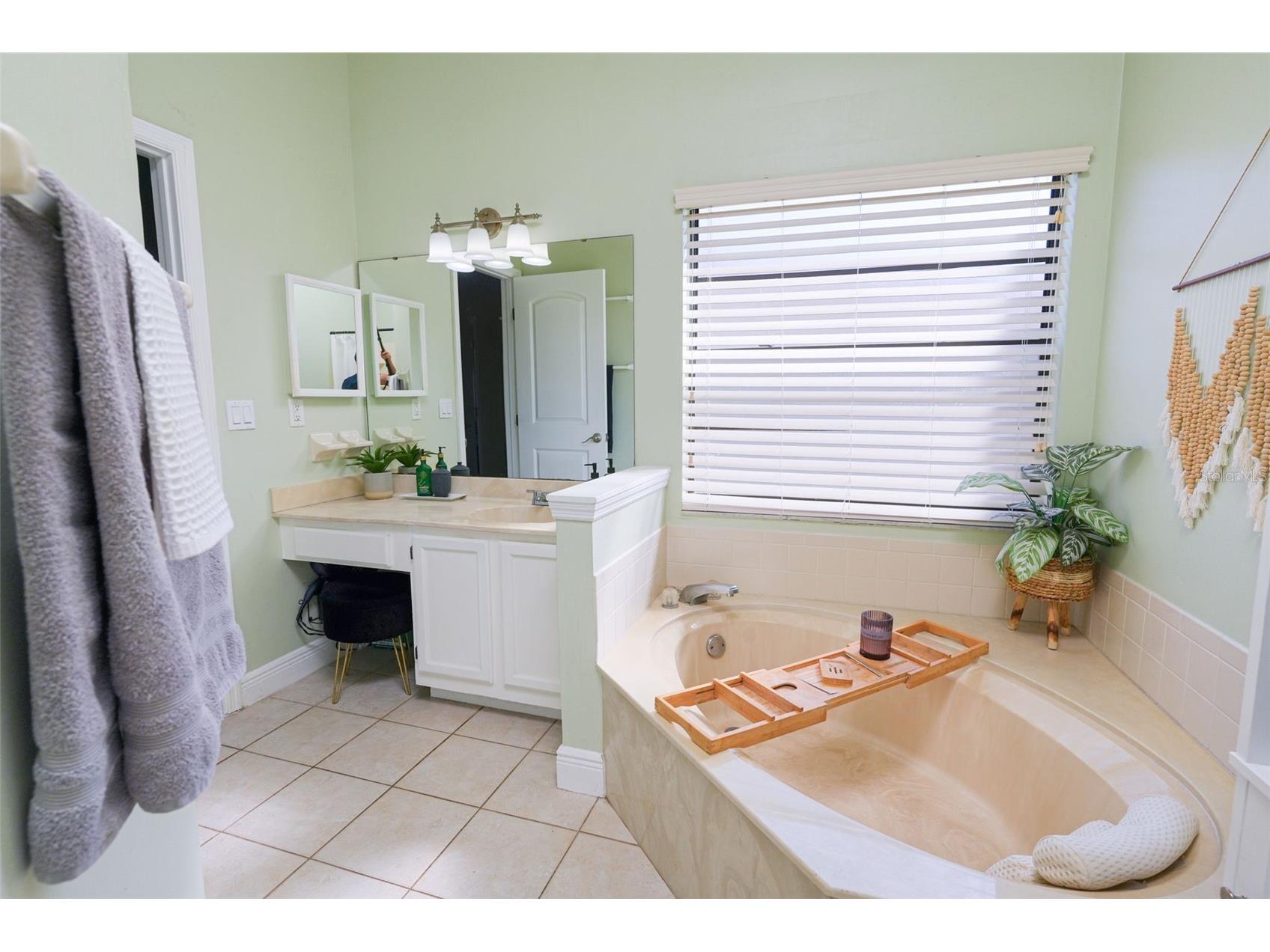4136 Spring Way Cir Valrico FL 33596 A4685600 image31
