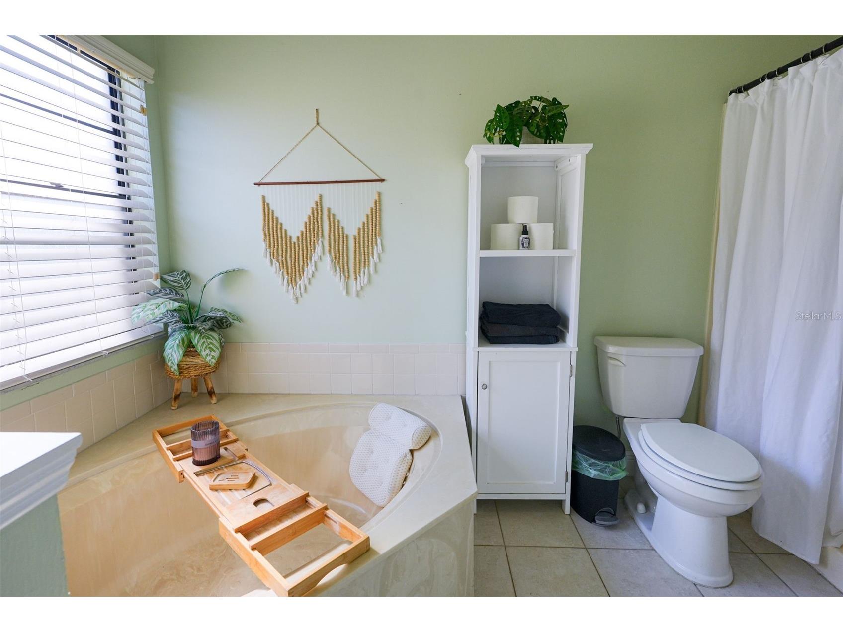 4136 Spring Way Cir Valrico FL 33596 A4685600 image33