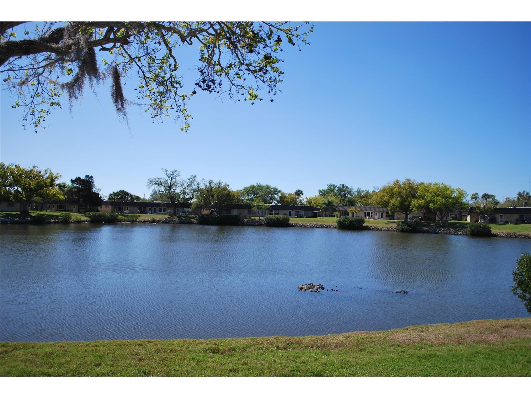 4136 Stratford Drive New Port Richey FL 34652 TB8488279 image2