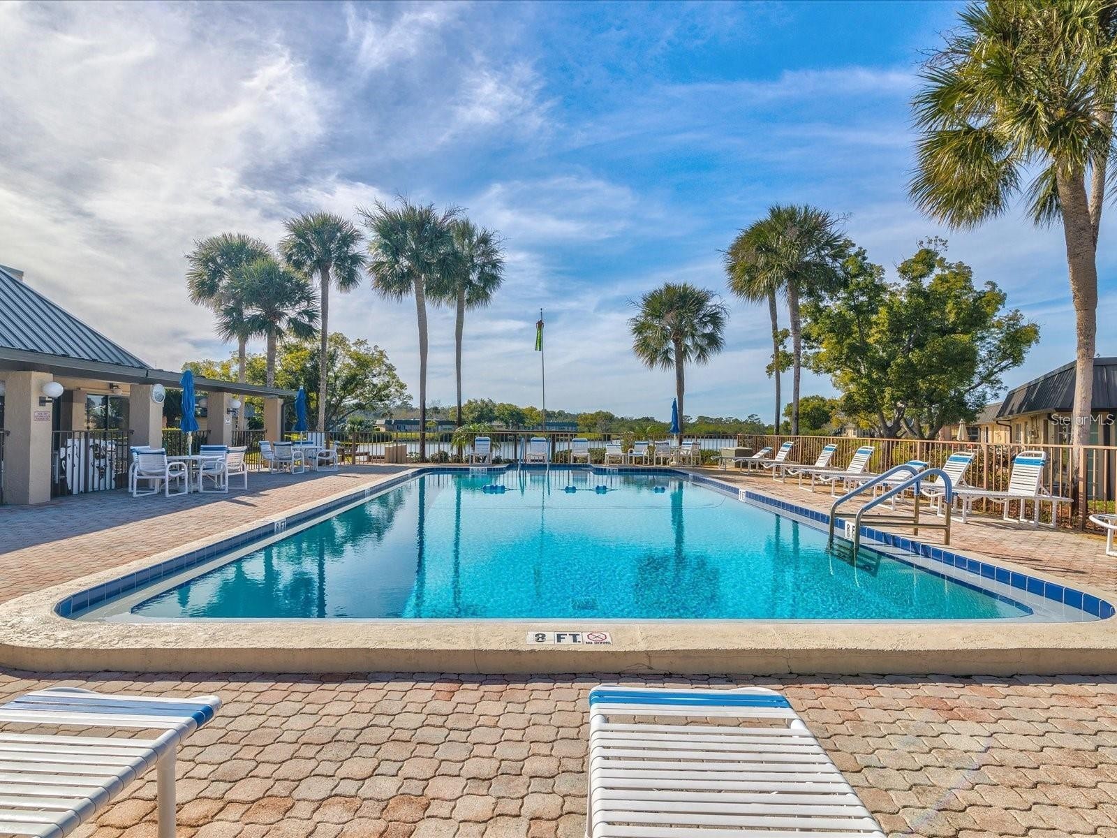 4136 Stratford Drive New Port Richey FL 34652 TB8488279 image22