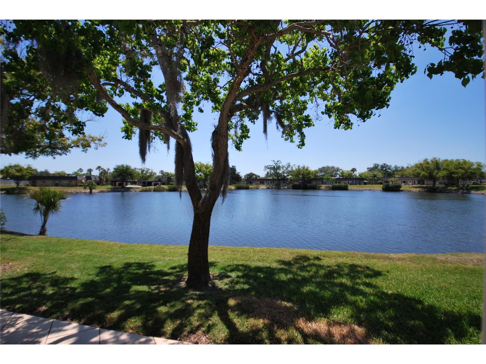 4136 Stratford Drive New Port Richey FL 34652 TB8488279 image3