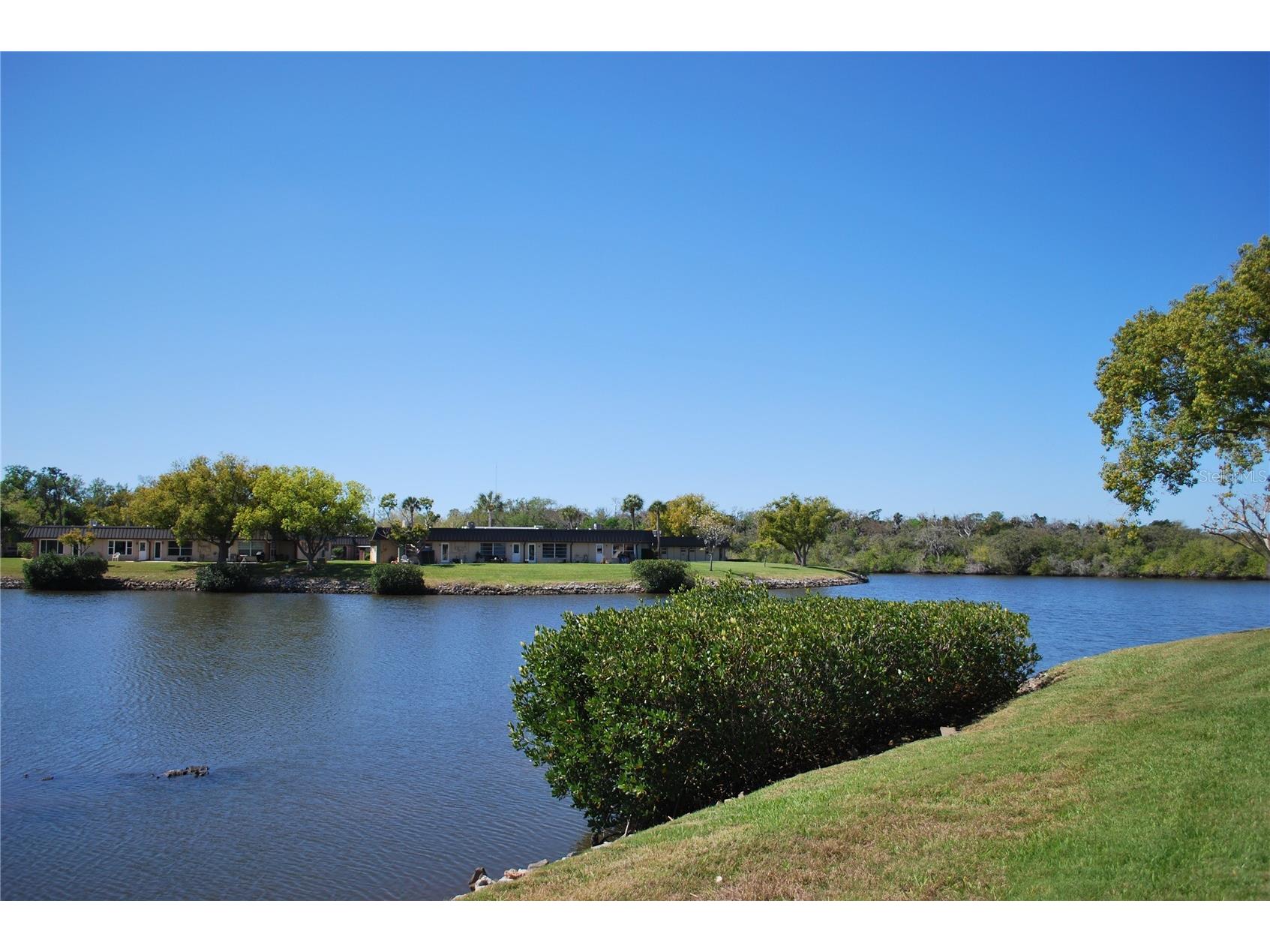 4136 Stratford Drive New Port Richey FL 34652 TB8488279 image4
