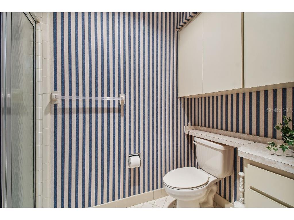 4137 Edgewood Drive Holiday FL 34691 T3539787 image10