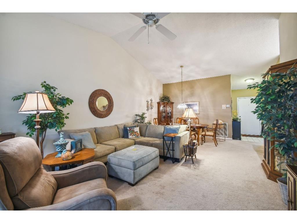 4137 Edgewood Drive Holiday FL 34691 T3539787 image12