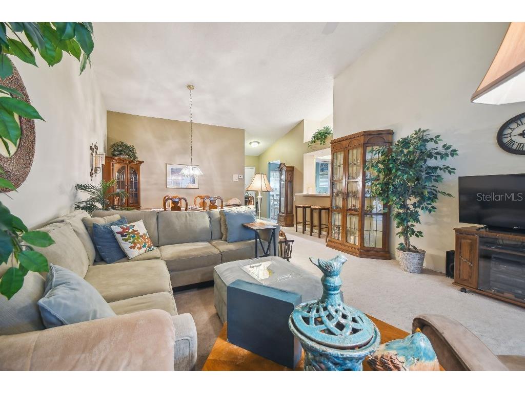 4137 Edgewood Drive Holiday FL 34691 T3539787 image13