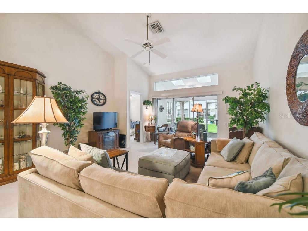 4137 Edgewood Drive Holiday FL 34691 T3539787 image14