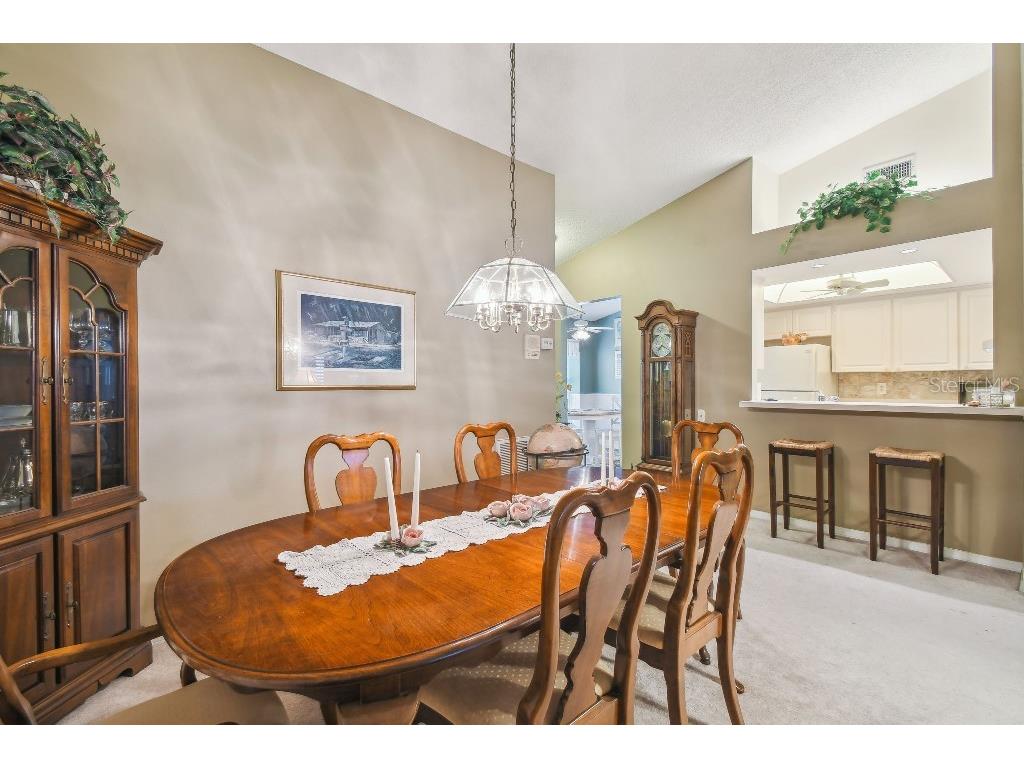 4137 Edgewood Drive Holiday FL 34691 T3539787 image15