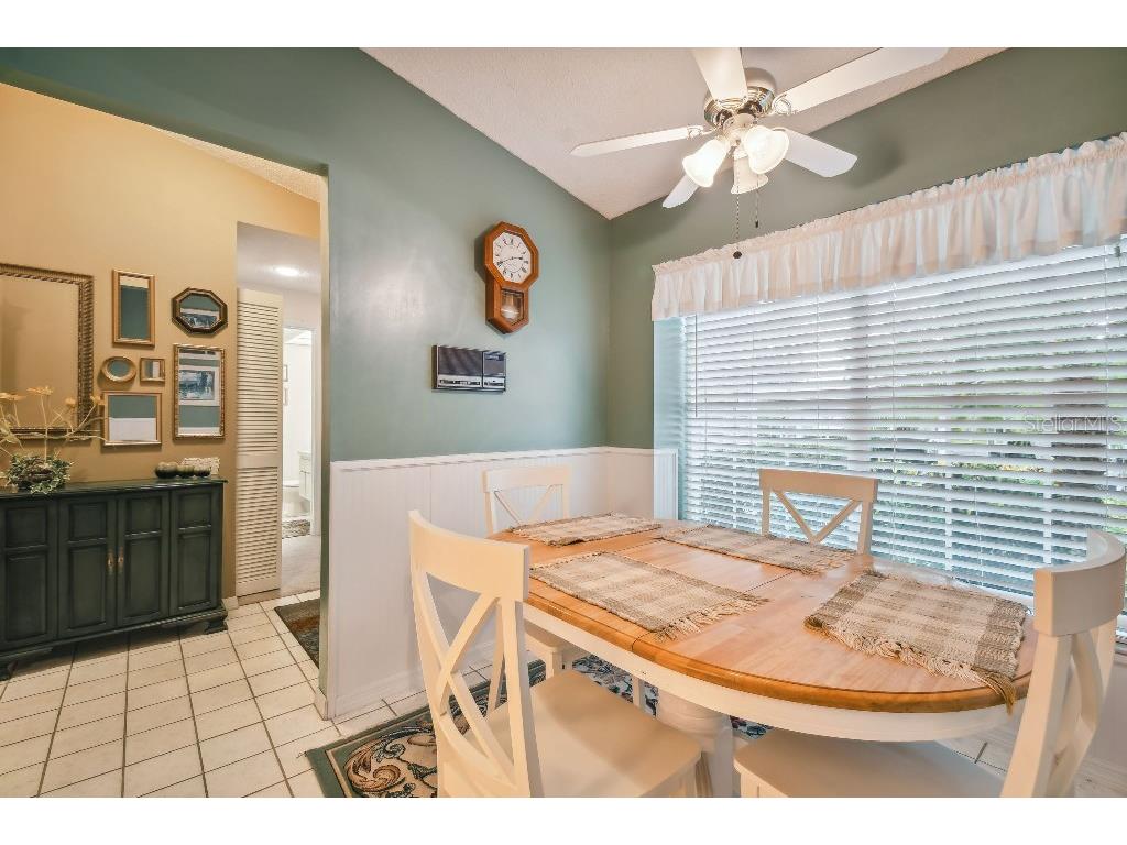 4137 Edgewood Drive Holiday FL 34691 T3539787 image20