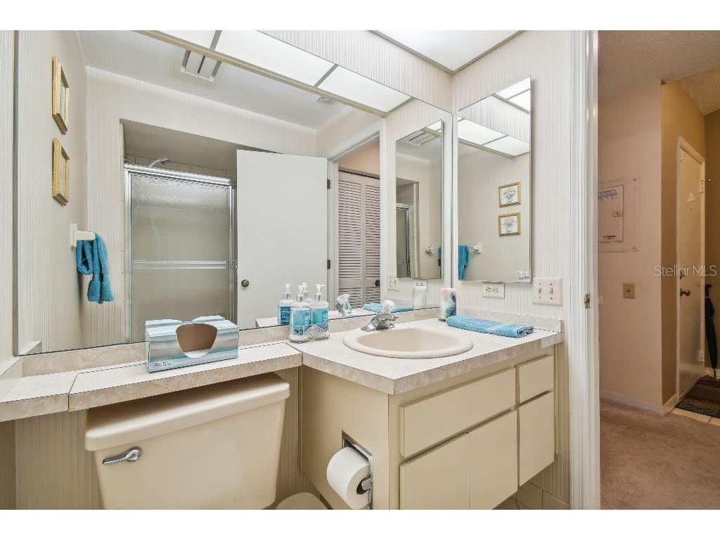 4137 Edgewood Drive Holiday FL 34691 T3539787 image27