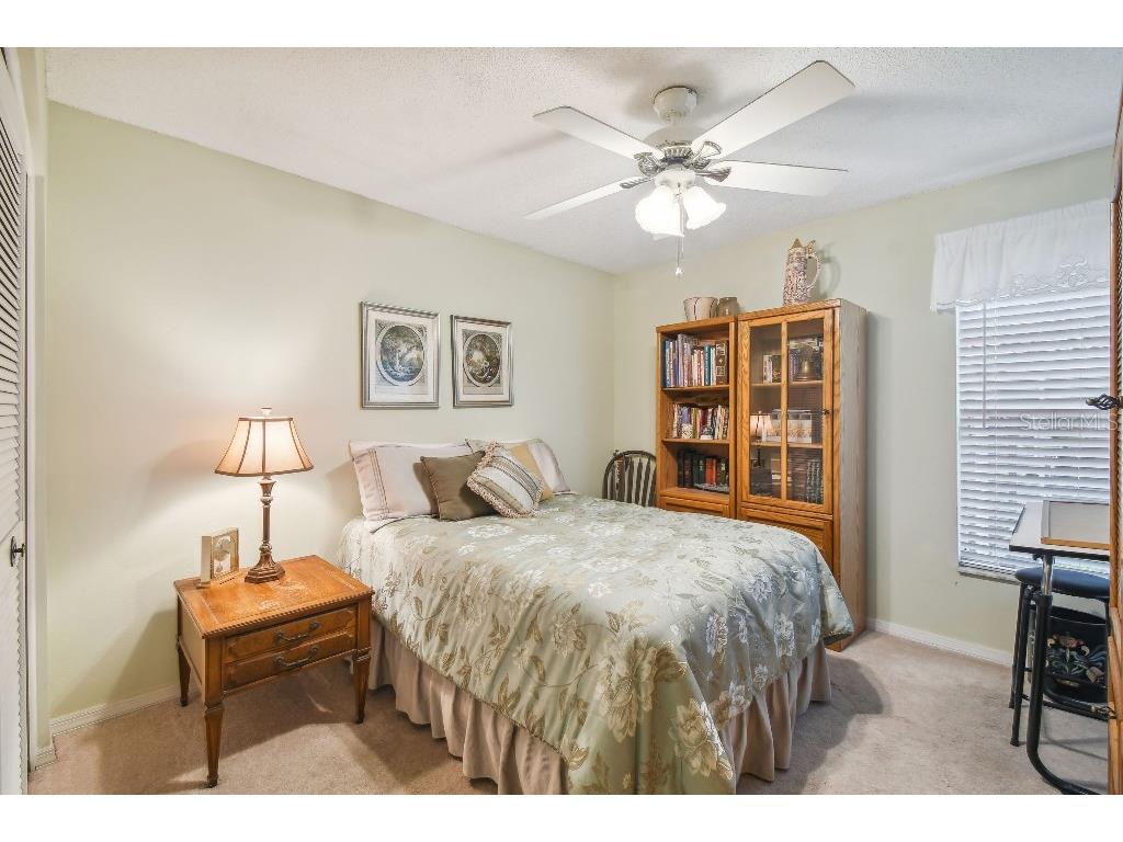 4137 Edgewood Drive Holiday FL 34691 T3539787 image28