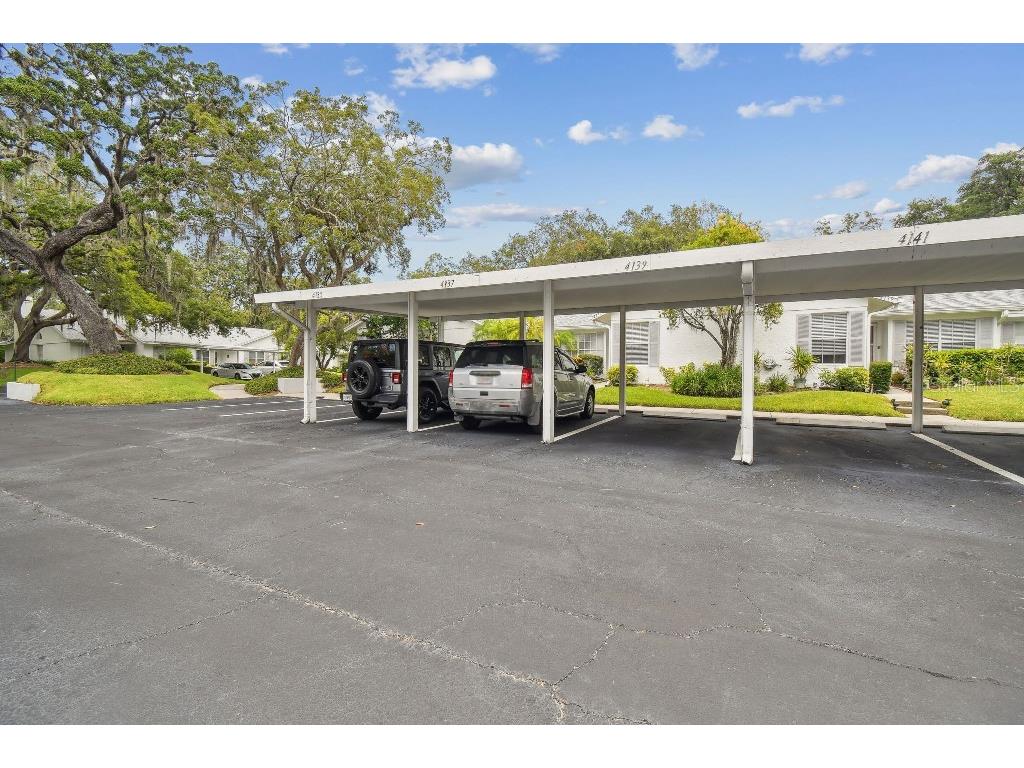 4137 Edgewood Drive Holiday FL 34691 T3539787 image31