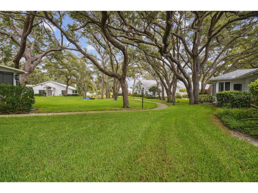 4137 Edgewood Drive Holiday FL 34691 T3539787 image4