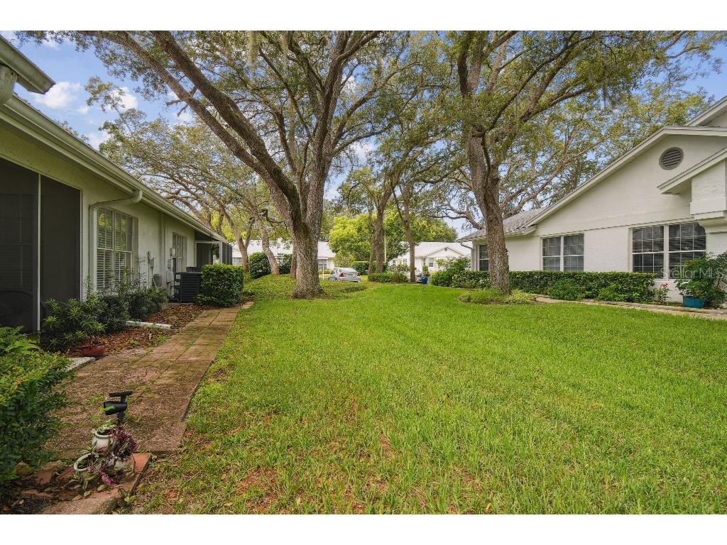 4137 Edgewood Drive Holiday FL 34691 T3539787 image5