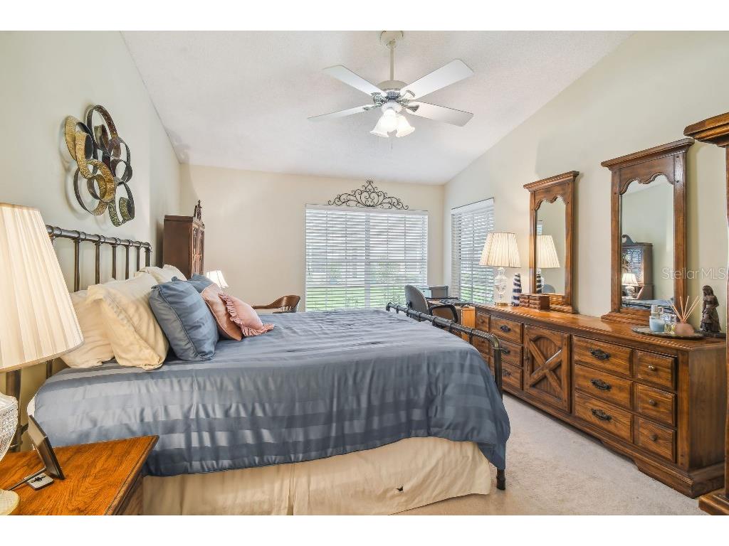 4137 Edgewood Drive Holiday FL 34691 T3539787 image8