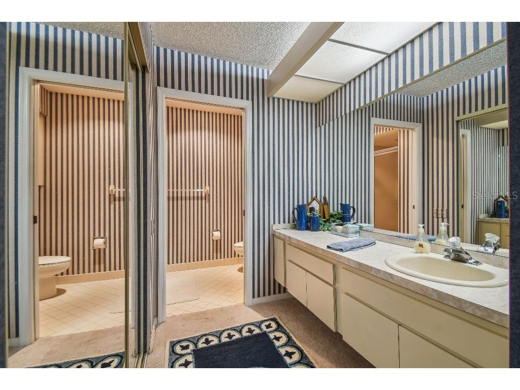 4137 Edgewood Drive Holiday FL 34691 T3539787 image9